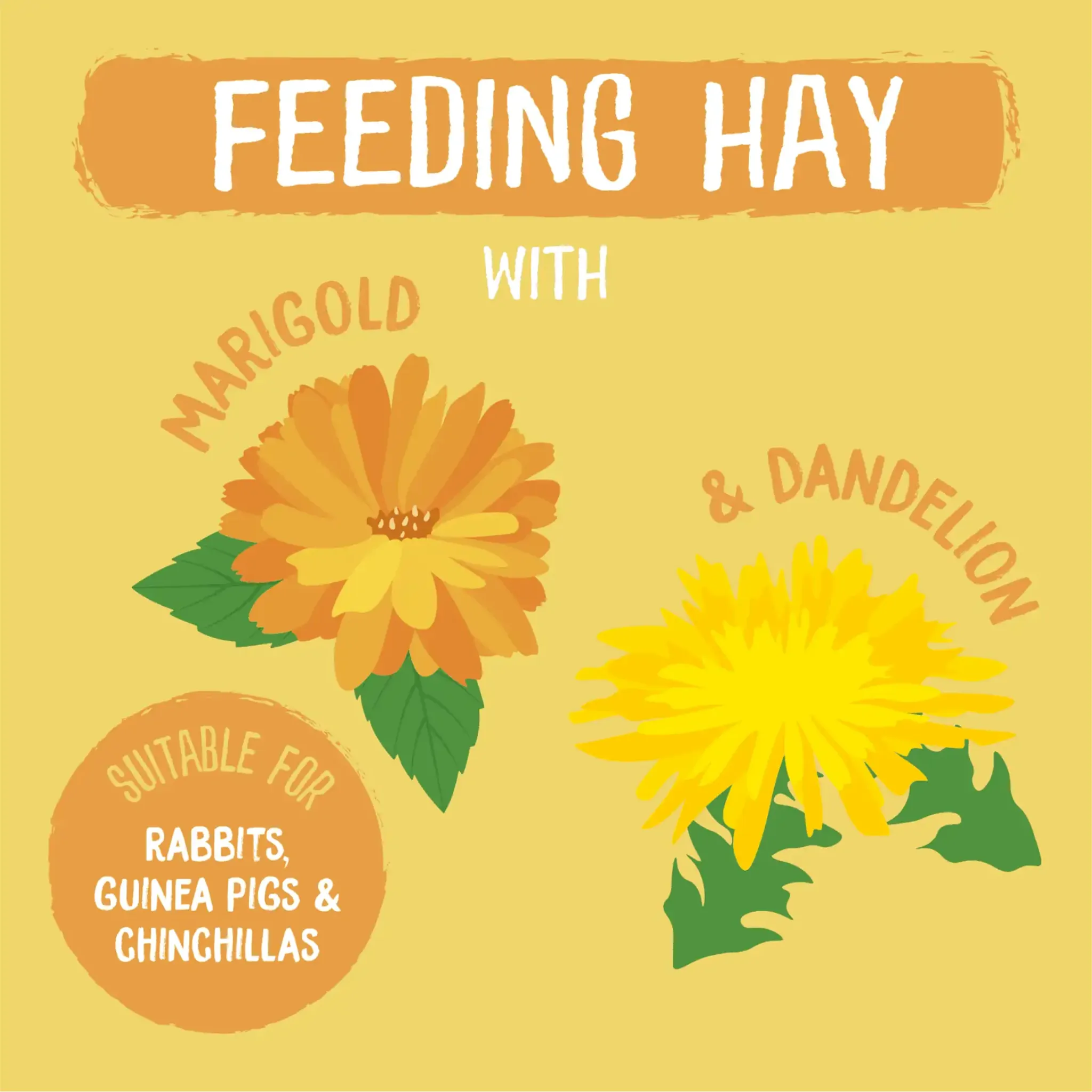 Burgess Excel Feeding Hay with Dandelion and Marigold