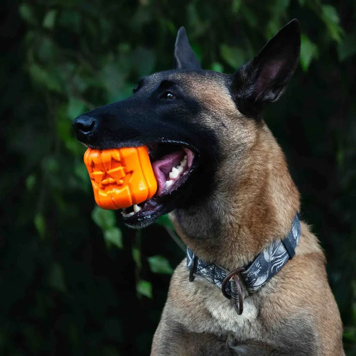 MKB Jack O' Lantern Durable Rubber Chew Toy